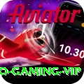 bingo Gaming VIP
