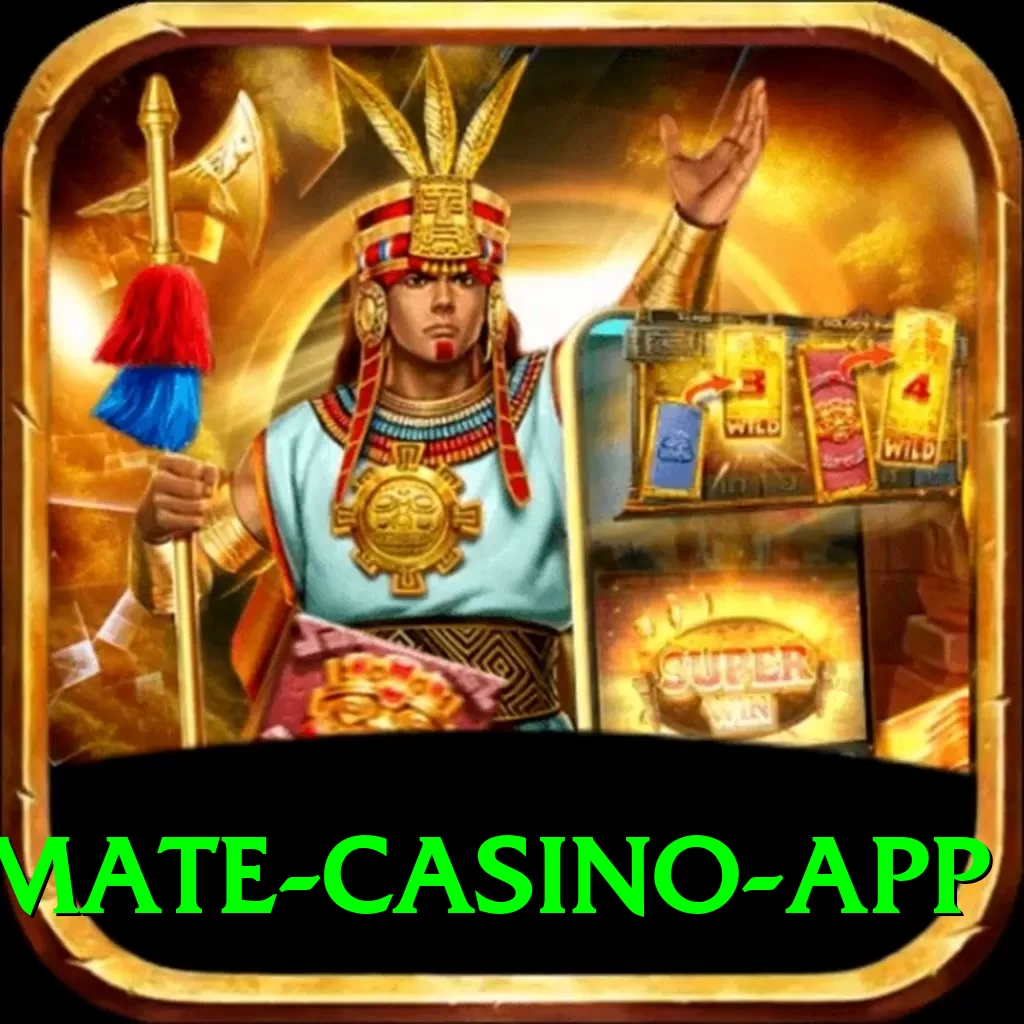 zh88 Ultimate Casino App - 2